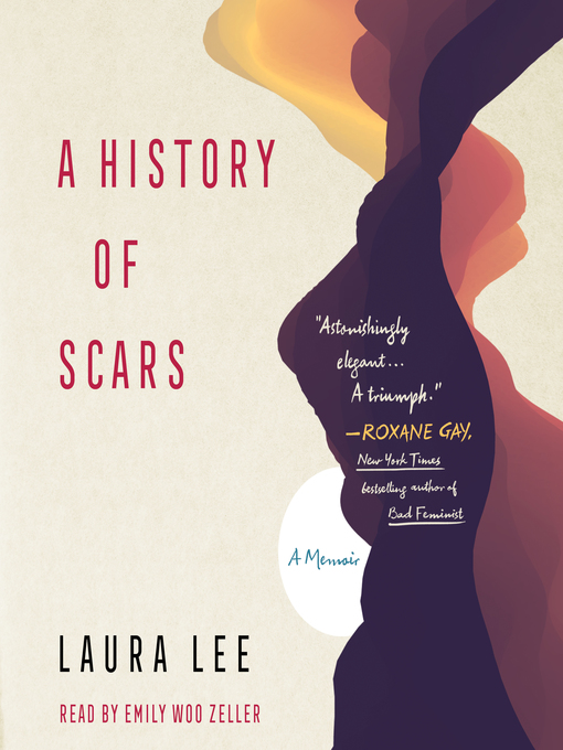 Cover image for A History of Scars